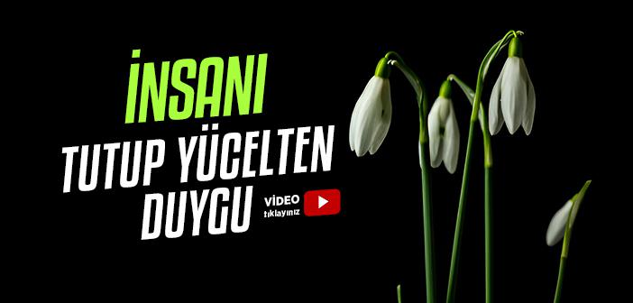 “Haya İmandandır” Hadisiyle Anlatılmak İstenen Nedir?