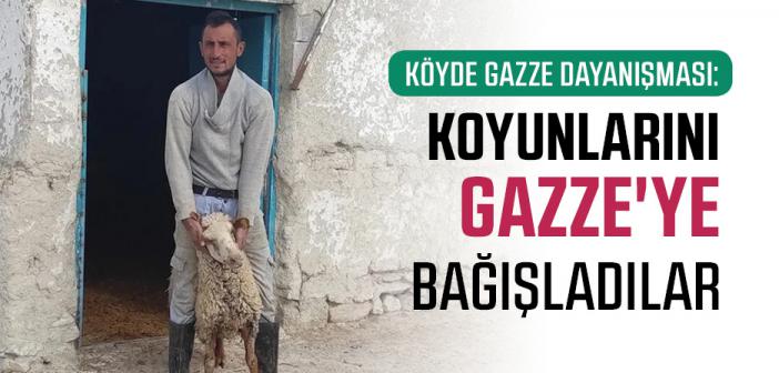 Köyde Gazze Dayanışması: Koyunlarını Gazze'ye Bağışladılar