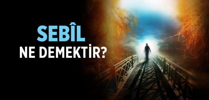 Sebîl Ne Demektir?