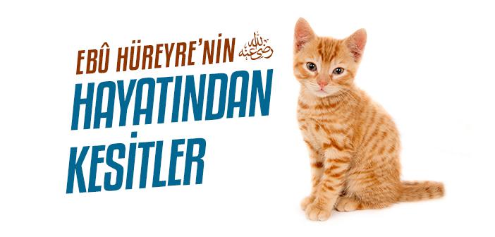 Ebû Hüreyre’nin (r.a.) Hayatından Kesitler