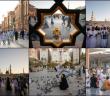 Hacılar, Hazreti Muhammed'in Nuruyla Aydınlanmış Şehir Medine'de