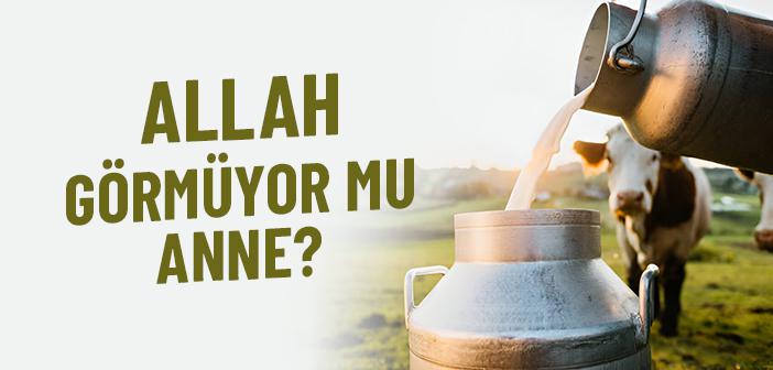 Allah Görmüyor mu Anne?
