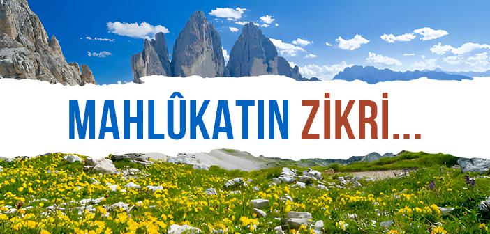 Mahlûkatın Zikri: Dağlar, Taşlar ve Kuşlar Allah’ı Nasıl Zikrediyor?