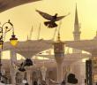 Peygamberimiz, Cami ve Namaz