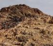 Talha bin Ubeydullâh (r.a.) Uhud’da Rasûlullah’a Nasıl Siper Oldu?