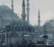 Leonardo da Vinci, Neden İstanbul’a Çağrılmadı?