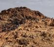 Zübeyr bin Avvâm’ın (r.a.) Uhud’daki Şecaat Örneği