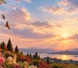 Allah’ın Rızasını Kazanmanın Önemi Nedir?