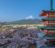 Japonya’da Bir Tefekkür Yolculuğu