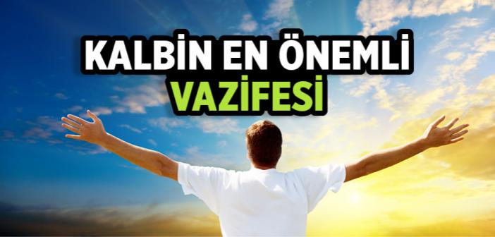 Kalp, Cihandaki Her Şeyden Bir Ders Alacak!