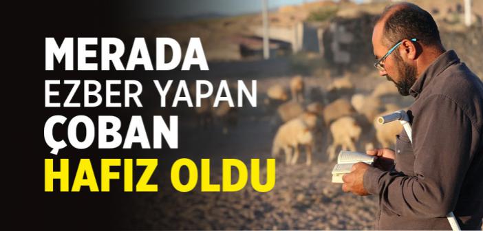 Merada Ezber Yapan Çoban Hafız Oldu
