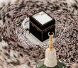 Peygamber Efendimiz Ebu Süfyan bin Haris’i (r.a.) Nasıl Affetti?
