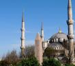 Cami ve Sosyal Hayat