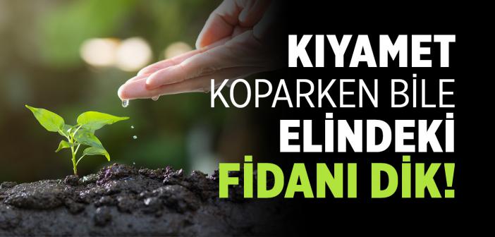 Kıyamet Koparken Bile Elindeki Fidanı Dik!