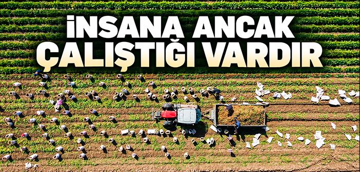https://www.islamveihsan.com/wp-content/uploads/2026/10/necm-suresi-39-41-ayetler-ne-anlatiyor-203475-m.jpg