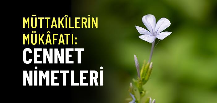 https://www.islamveihsan.com/wp-content/uploads/2026/10/tur-suresi-17-18-ayetler-ne-anlatiyor-203423-m.jpg